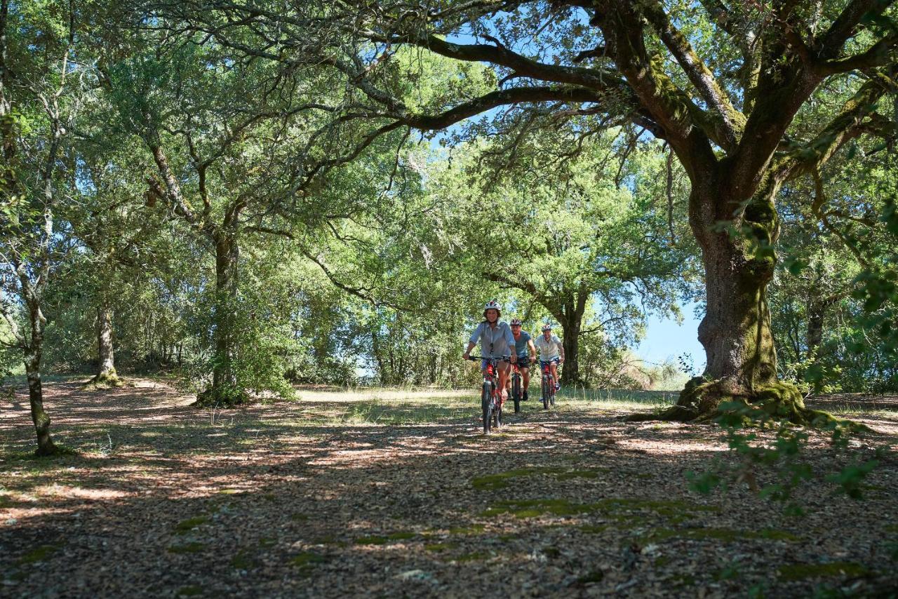 Casa Tolomei Bossi Di Sopra Castelnuovo Berardenga Exteriér fotografie